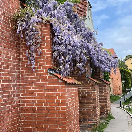 An Der Historischen Stadtmauer 아파트 로스토크