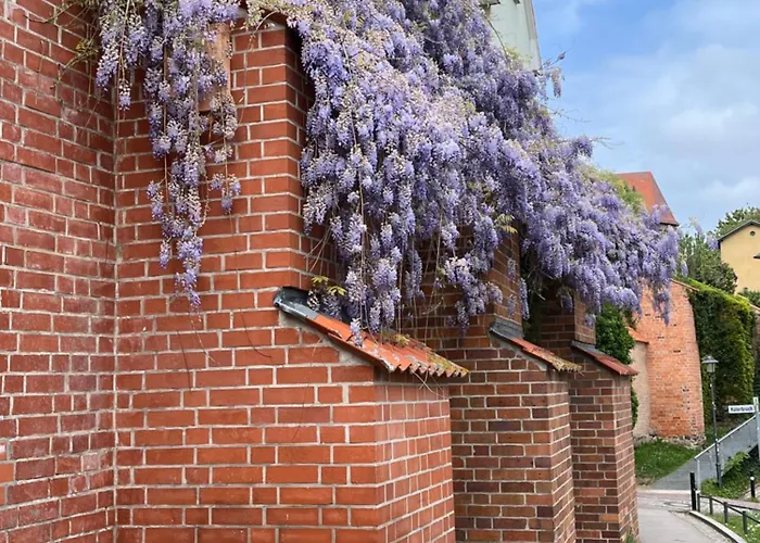 An Der Historischen Stadtmauer アパート ロストック